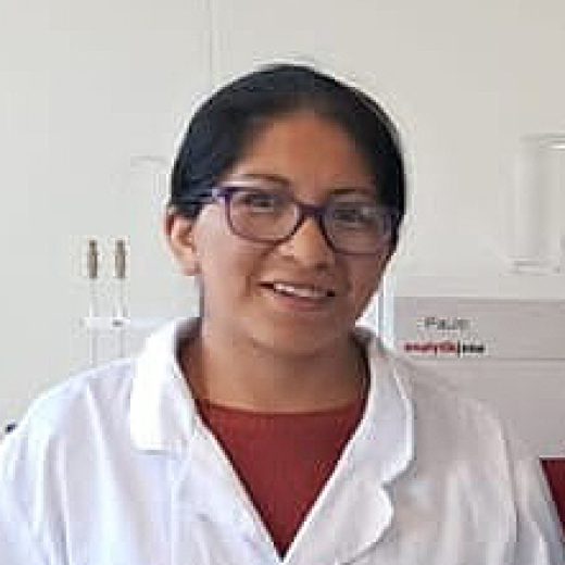 Flores Marizol